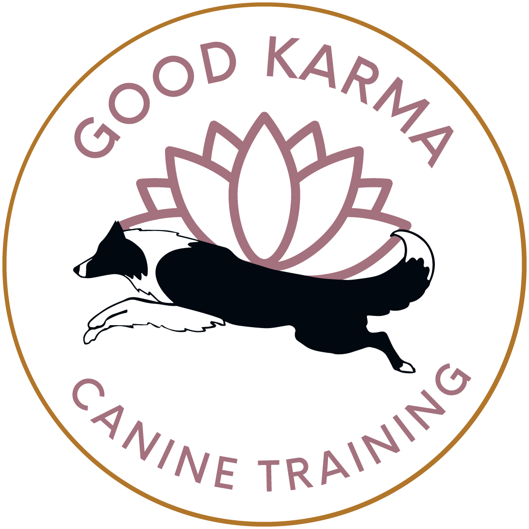 Good Karma Canine